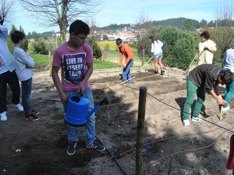 Vamos lá ao trabalho - Os alunos do 8ºano terminam a nossa horta: uns fazem os últimos camalhões cavando e colocando composto, outros alisam a terra e outros fazem plantações.